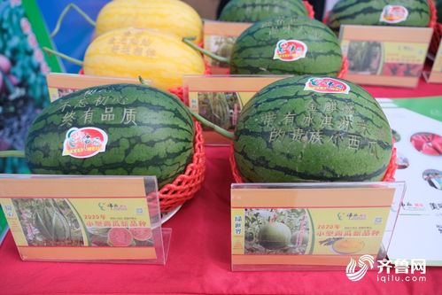 泉水人家 农产品区域公用品牌盛大发布 济南省知名农产品品牌总量达44个